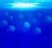 Grands fonds : vingt mille défis sous les mers